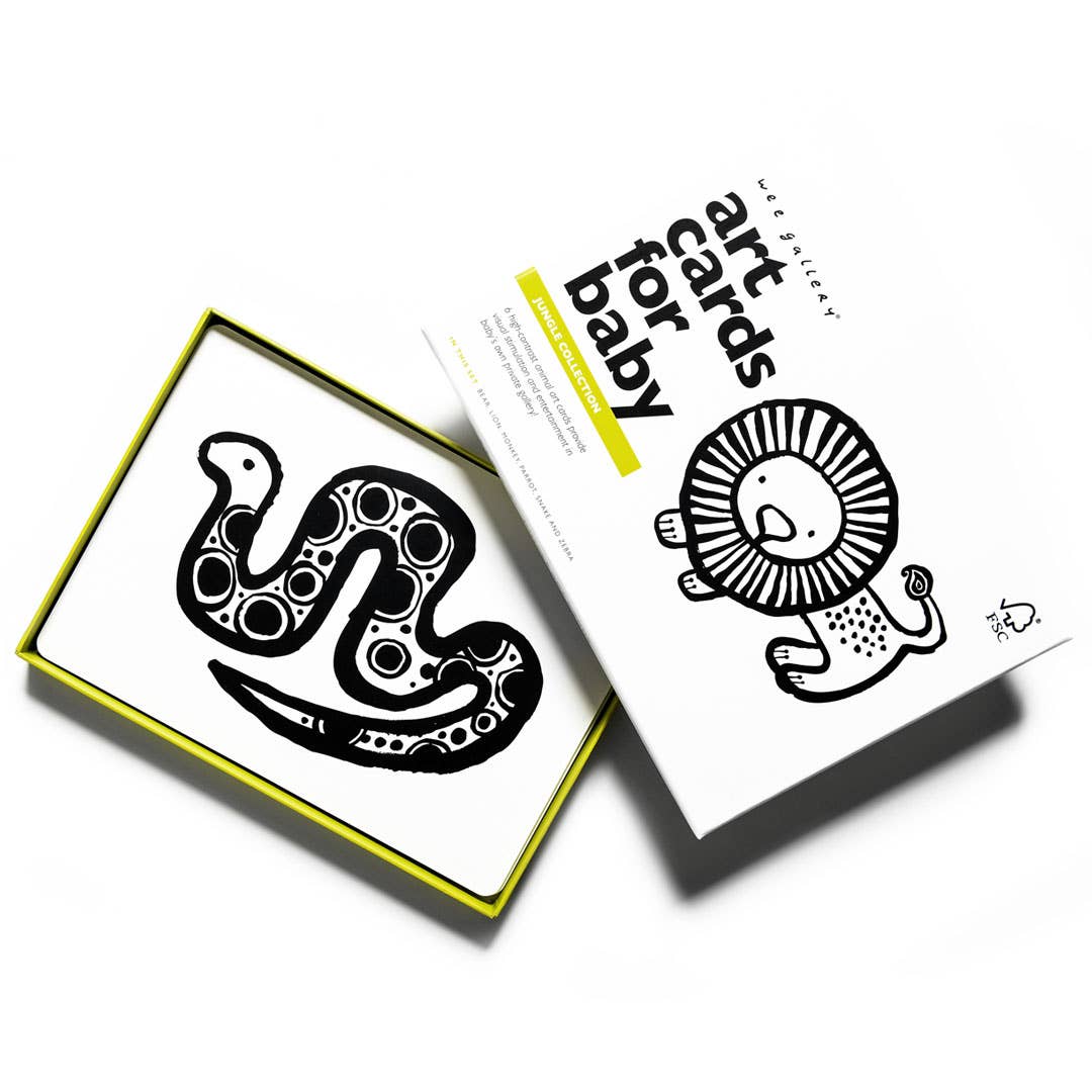Cartes d'art pour bébé - Animaux de la jungle - Cartes flash pour nourrissons