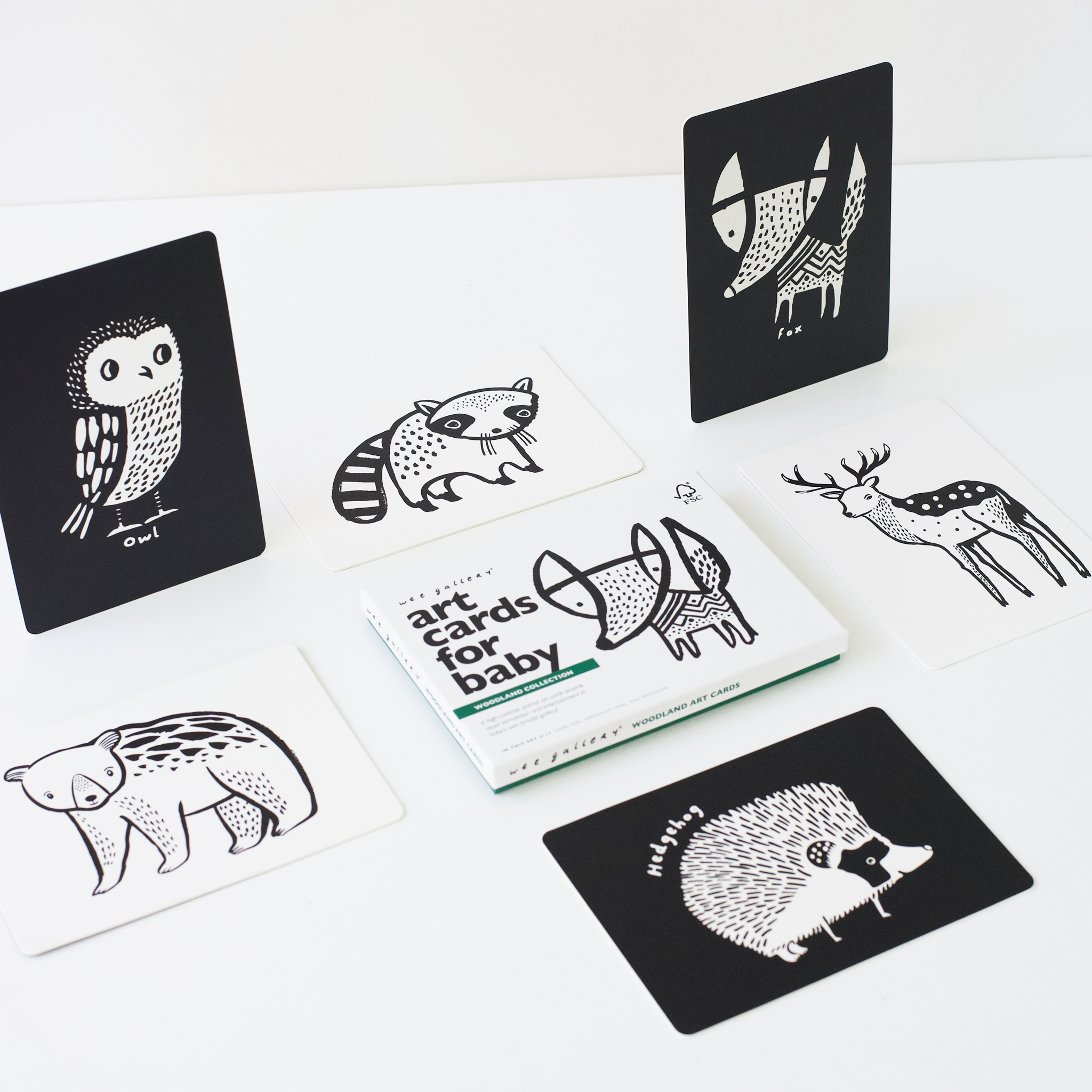 Cartes d'art pour bébé - Animaux de la forêt - Cartes flash pour nourrissons