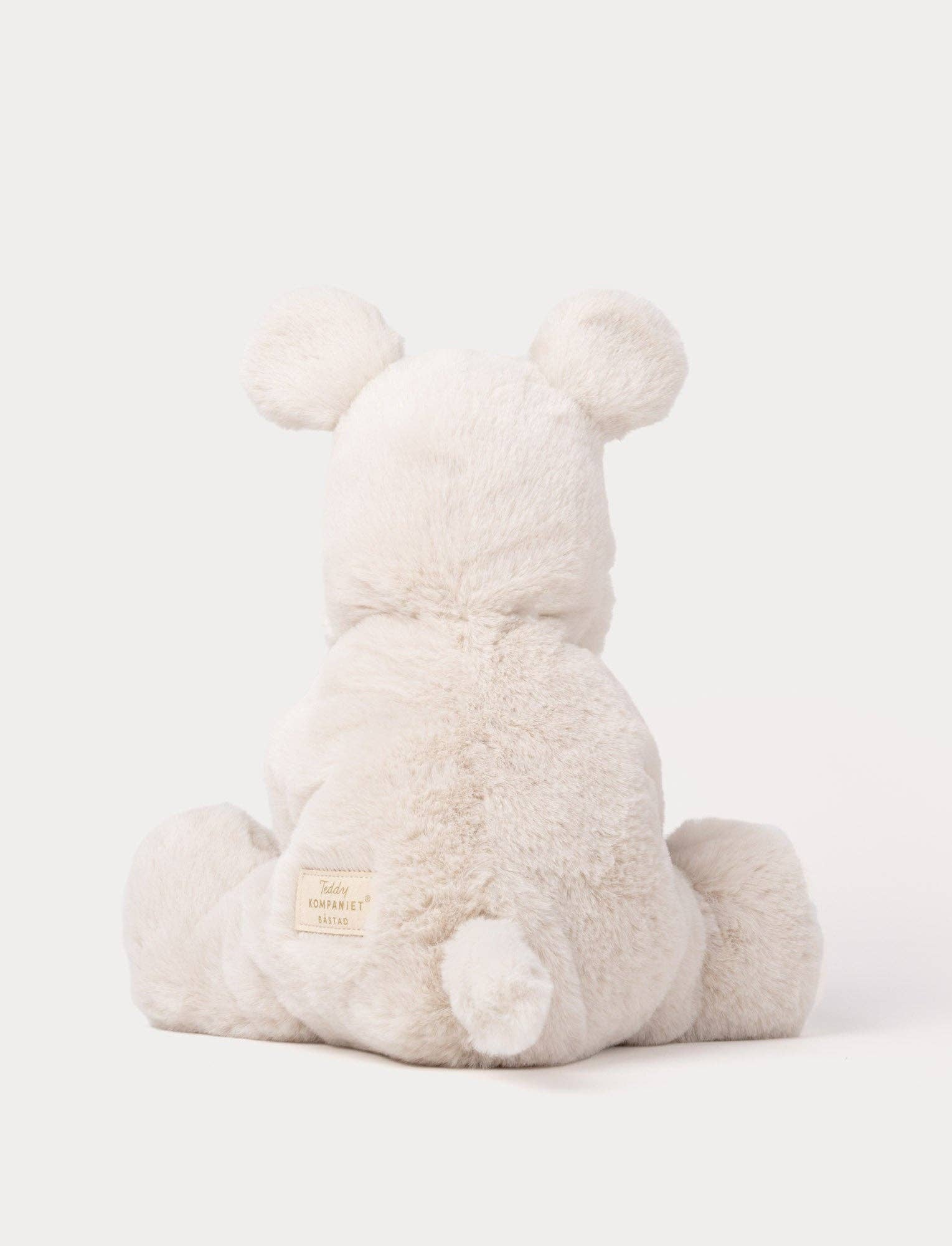 Teddy Mocca, Chien, Grand