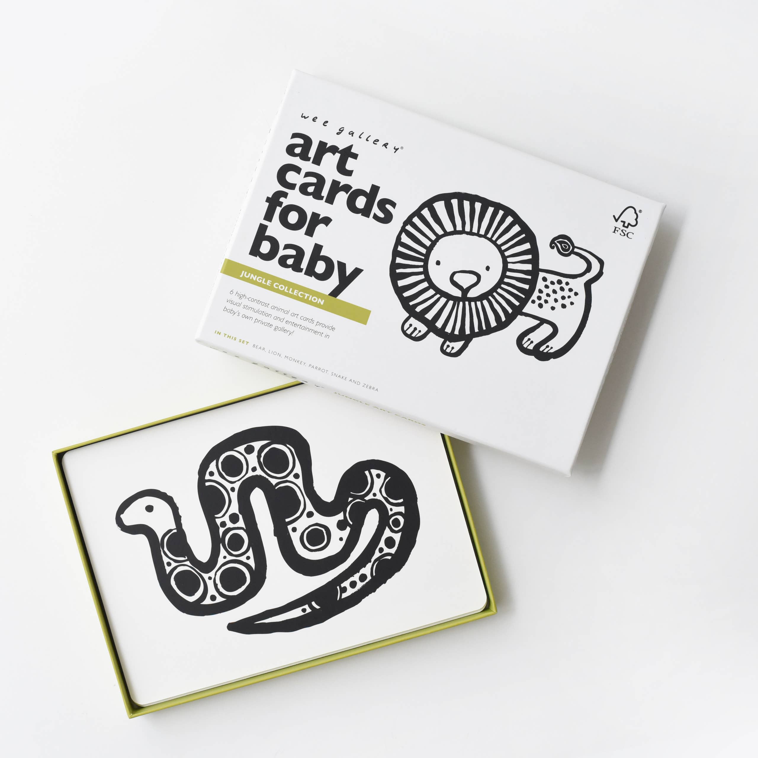 Cartes d'art pour bébé - Animaux de la jungle - Cartes flash pour nourrissons