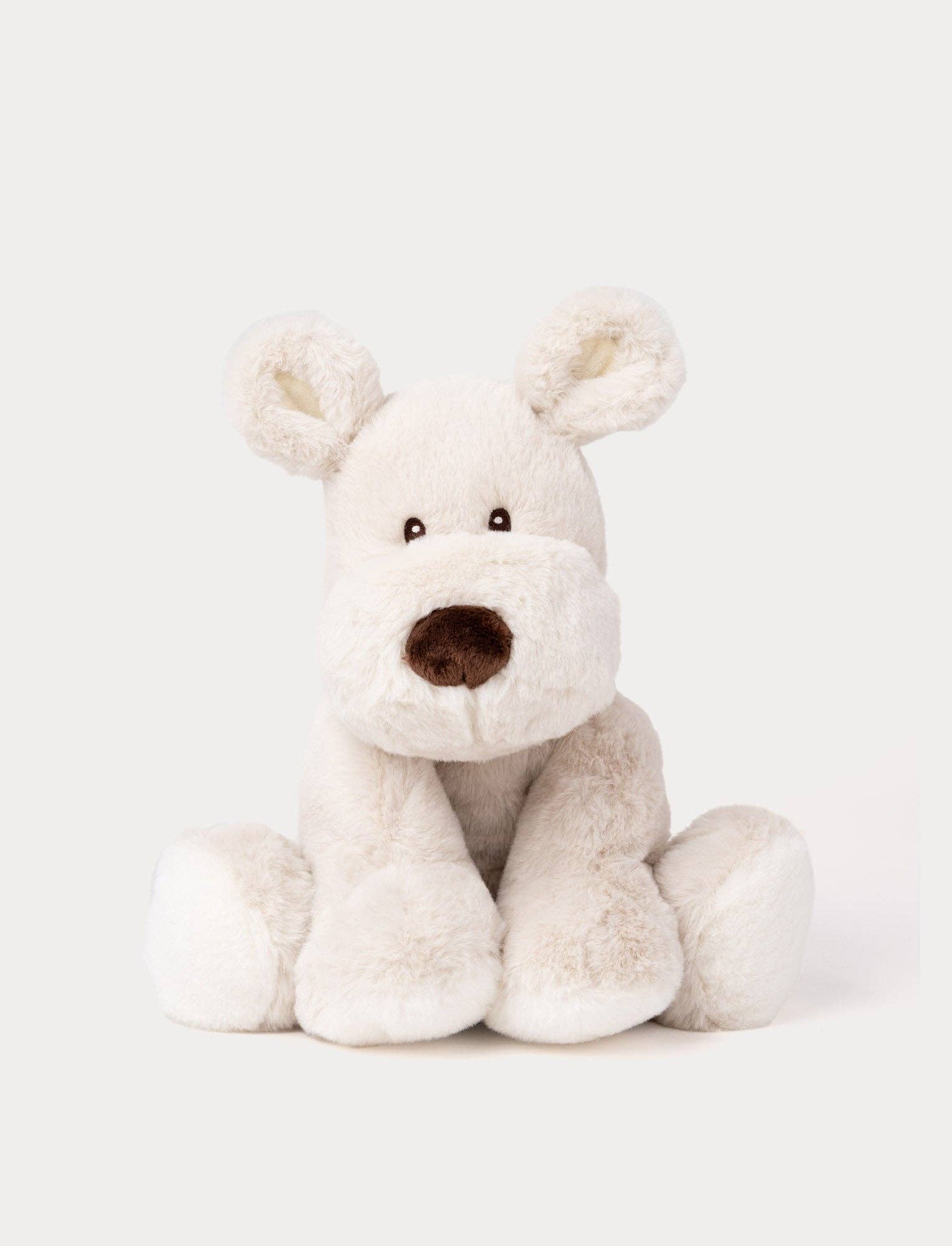 Teddy Mocca, Chien, Grand
