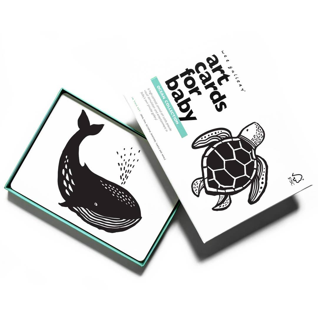 Cartes d'art pour bébé - Animaux marins - Cartes flash pour nourrissons