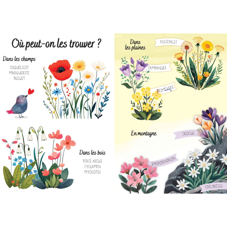 Puzzle magique à l'eau – Les fleurs