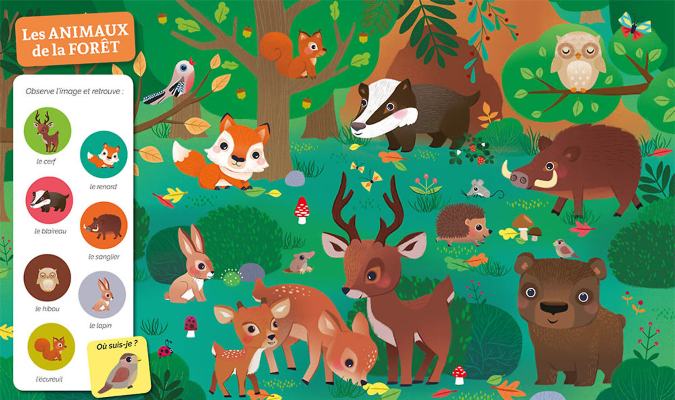 CHERCHE ET TROUVE DES TOUT-PETITS - CHEZ LES ANIMAUX Tous âges