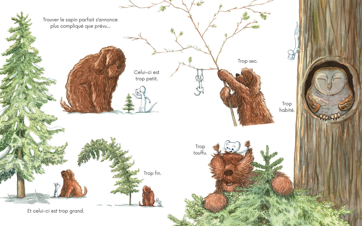 Le Noël de Poil et Plume – Dès 3 ans