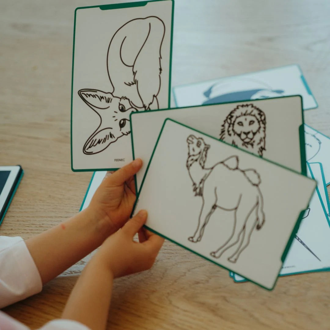 Recharge KIDYDRAW-MINI – Animaux autour du monde et Océans & Pirates – 60 cartes