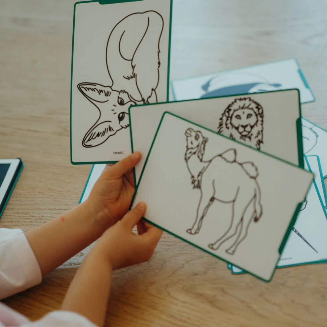 Tablette LCD KIDYDRAW-MINI – Animaux autour du monde