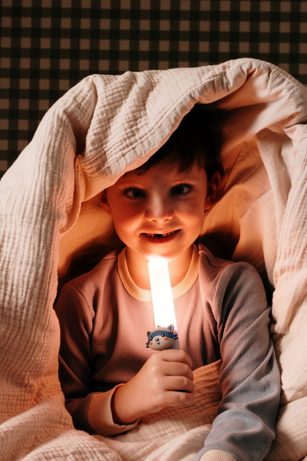 Lampe veilleuse enfant Raton Laveur – The Zoofamily