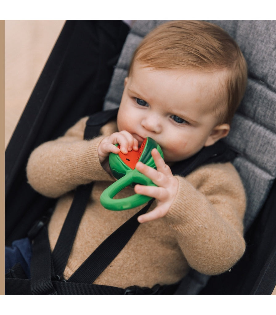 đ PastĂšque Rattle Toy