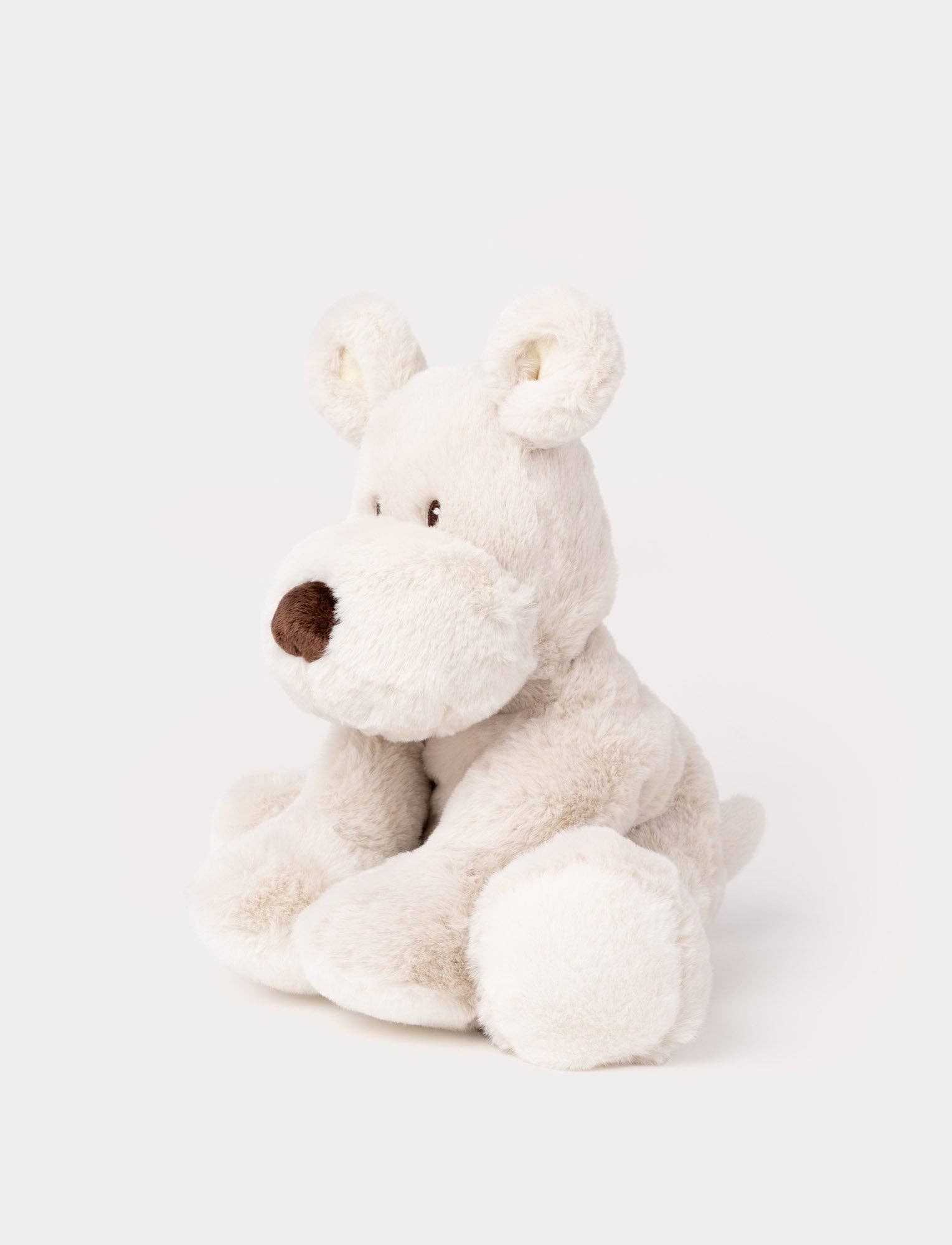Teddy Mocca, Chien, Grand