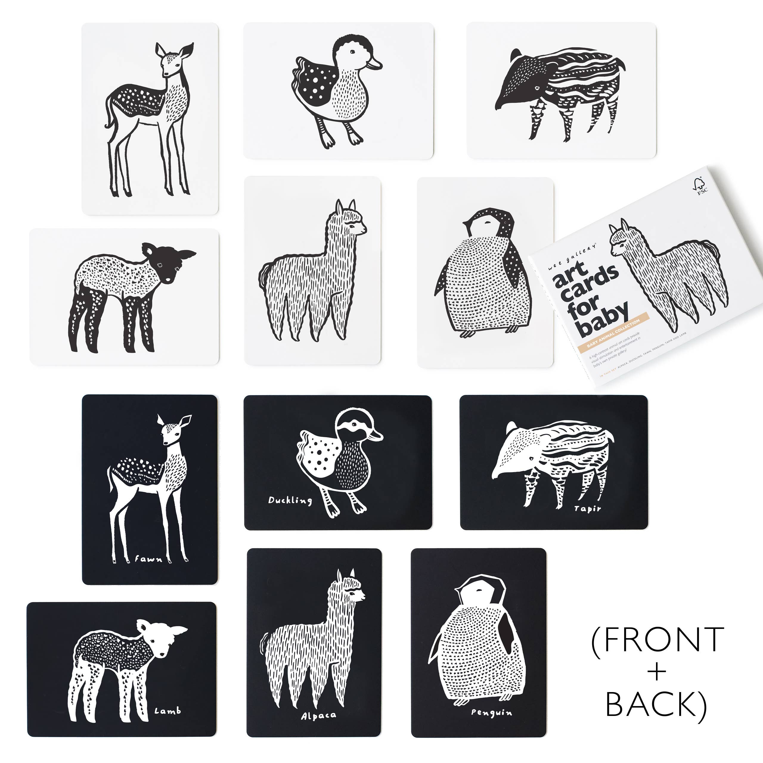 Cartes d'art pour bébé - Animaux bébés - Cartes flash pour nourrissons