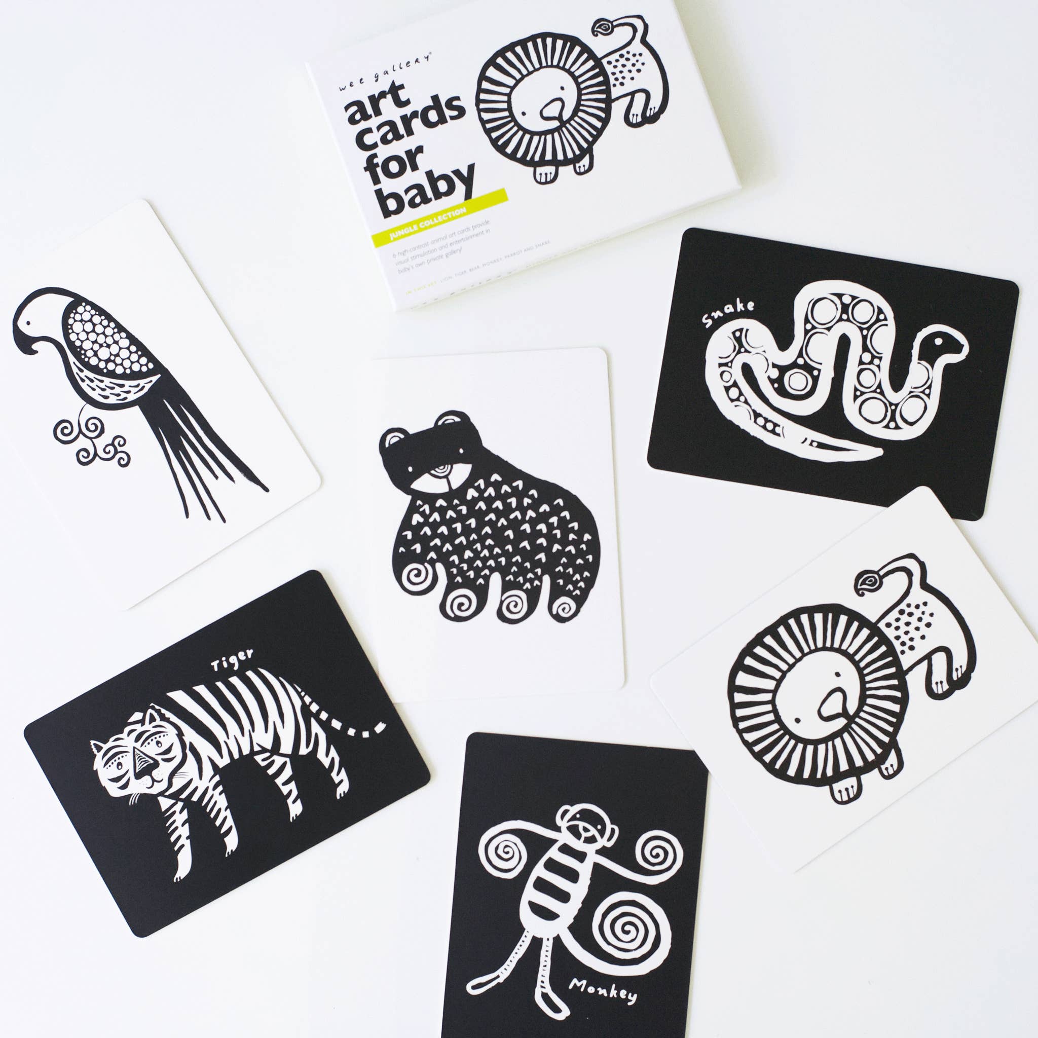 Cartes d'art pour bébé - Animaux de la jungle - Cartes flash pour nourrissons