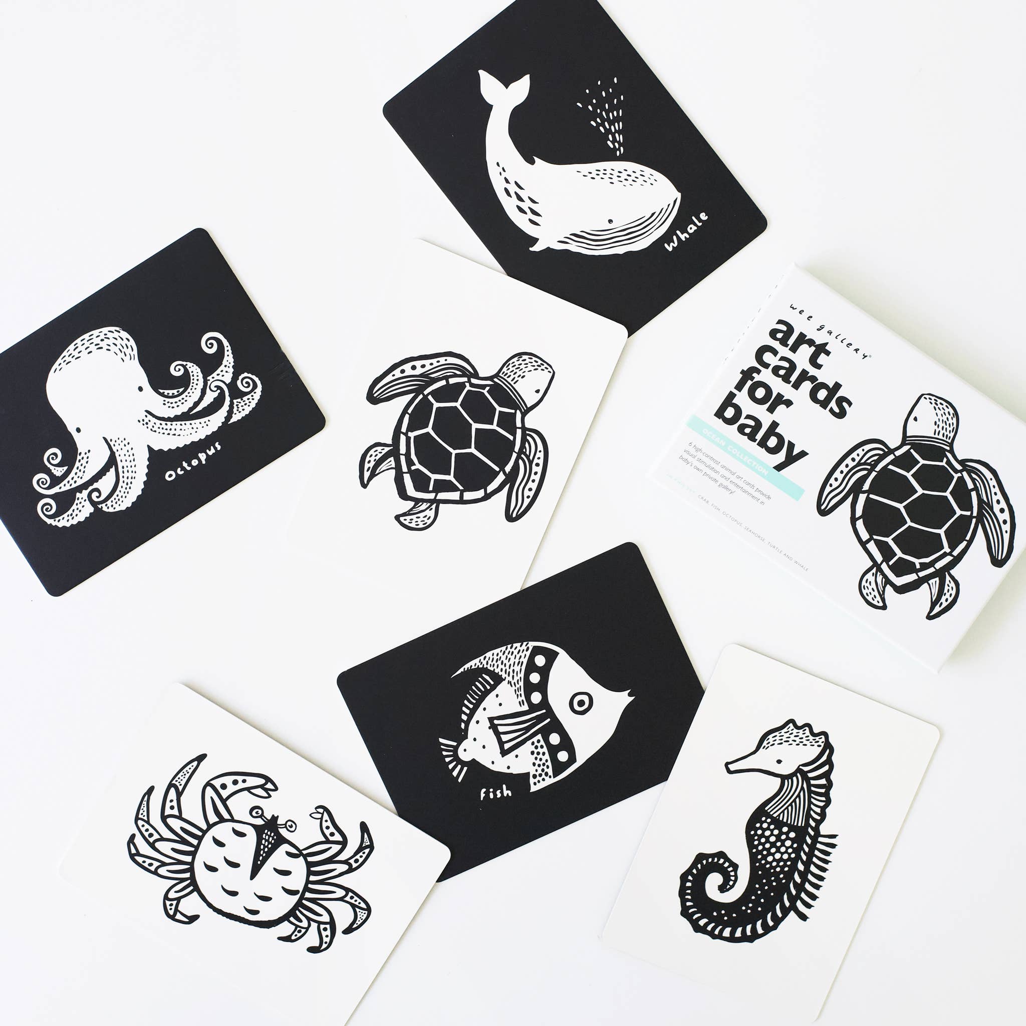 Cartes d'art pour bébé - Animaux marins - Cartes flash pour nourrissons