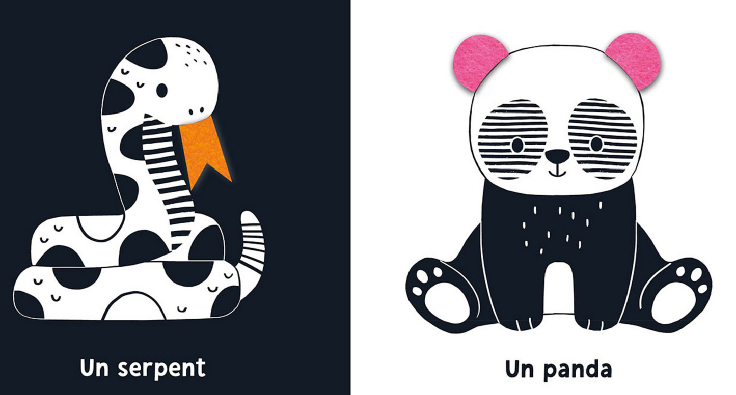 Les animaux de la jungle