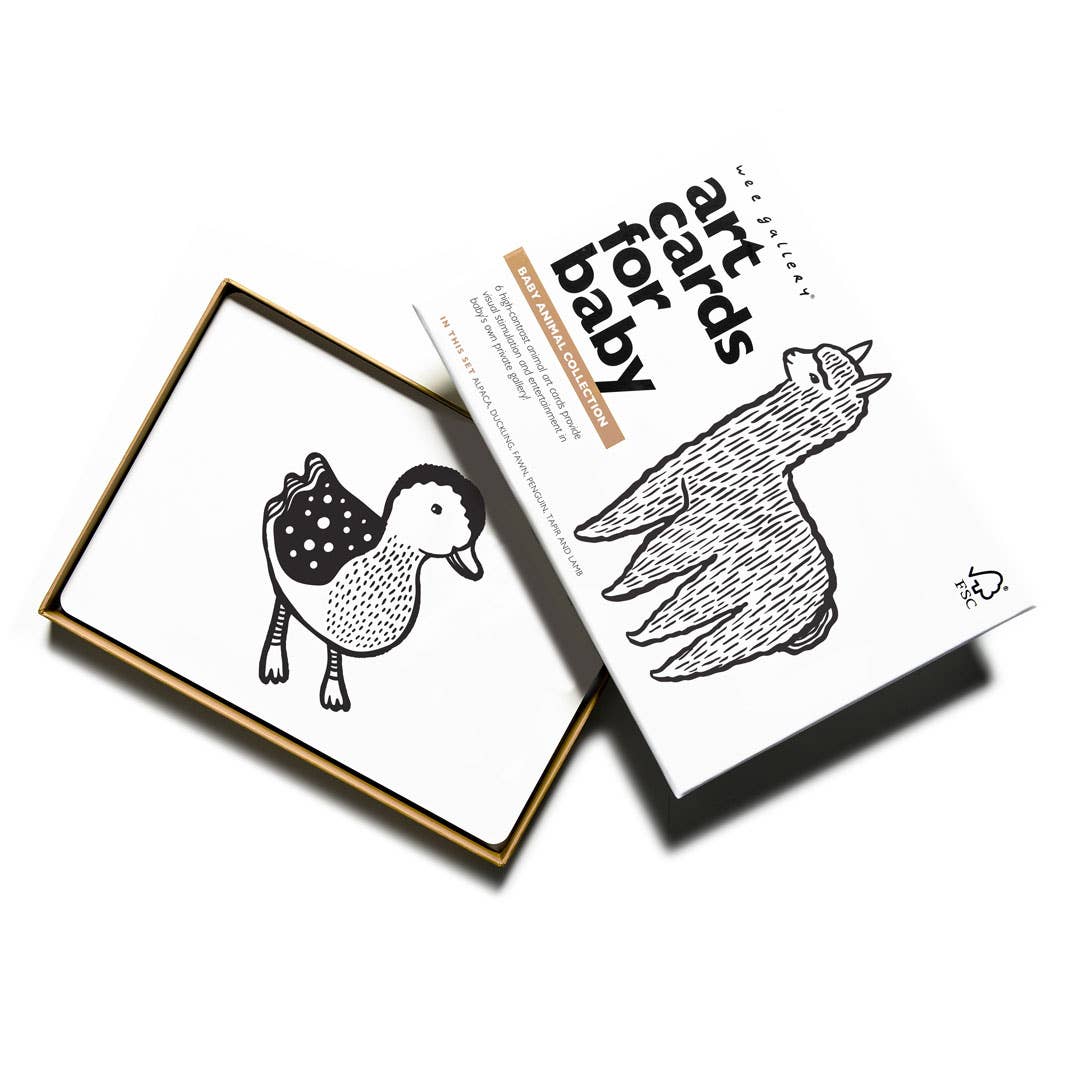 Cartes d'art pour bébé - Animaux bébés - Cartes flash pour nourrissons