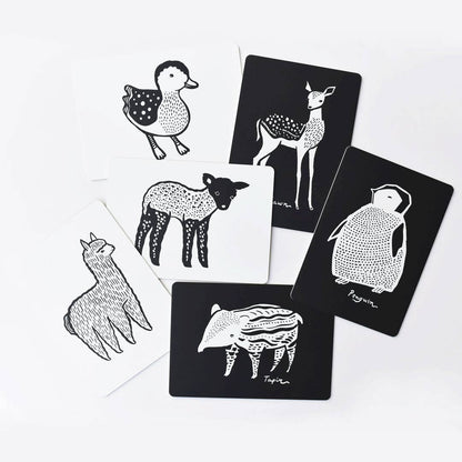 Cartes d'art pour bébé - Animaux bébés - Cartes flash pour nourrissons