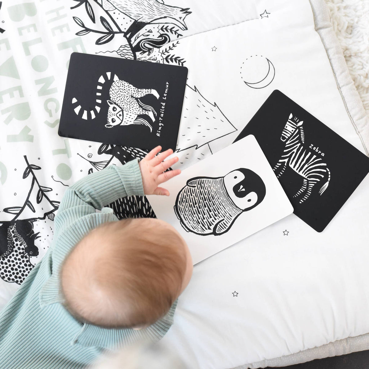Cartes d'art pour bébé Dès la naissance