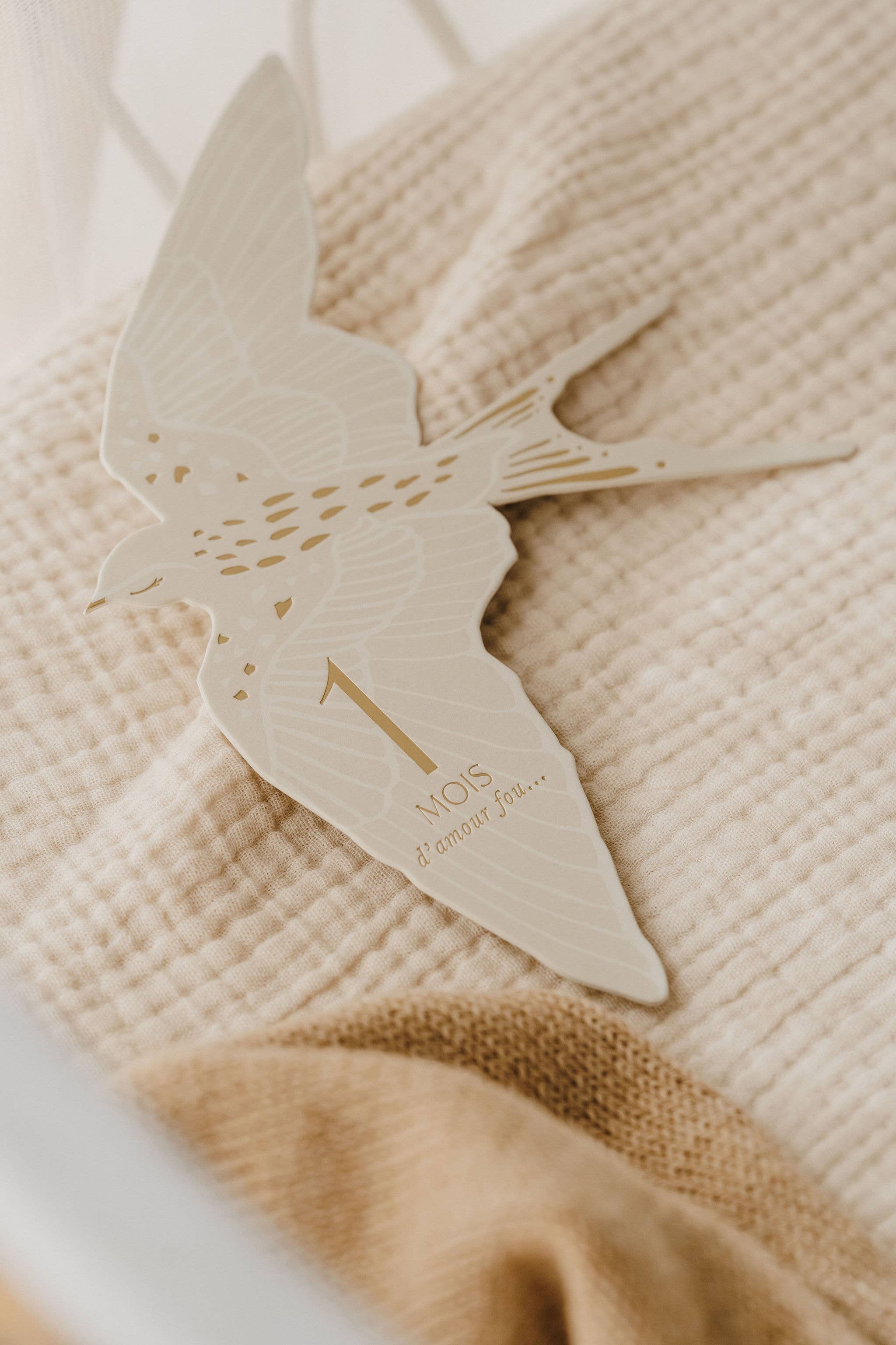 Coffret Cartes étapes Birds