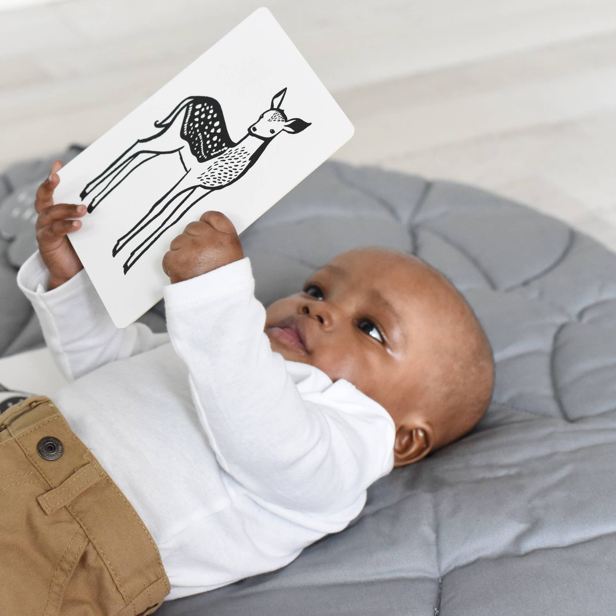 Cartes d'art pour bébé - Animaux bébés - Cartes flash pour nourrissons