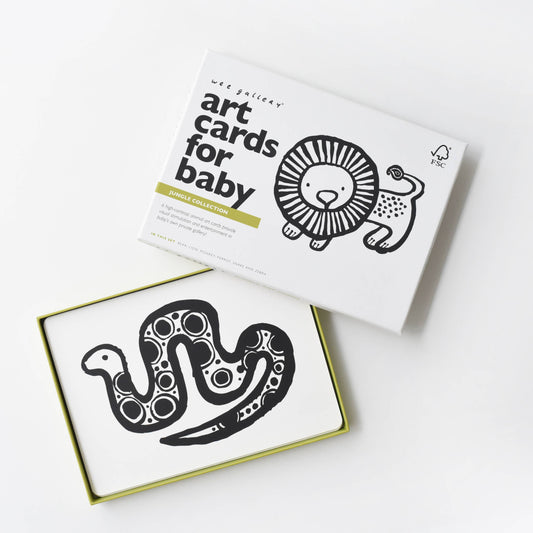 Cartes d'art pour bébé - Animaux de la jungle - Cartes flash pour nourrissons