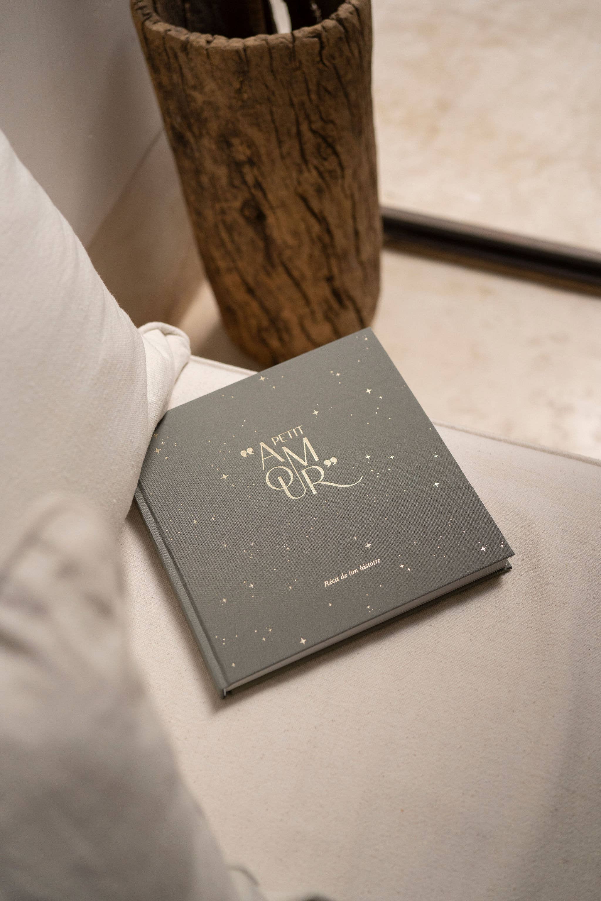 Livre de naissance - Petit Amour Sauge
