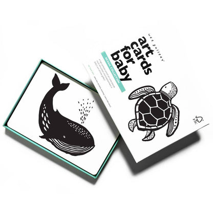 Cartes d'art pour bébé - Animaux marins - Cartes flash pour nourrissons