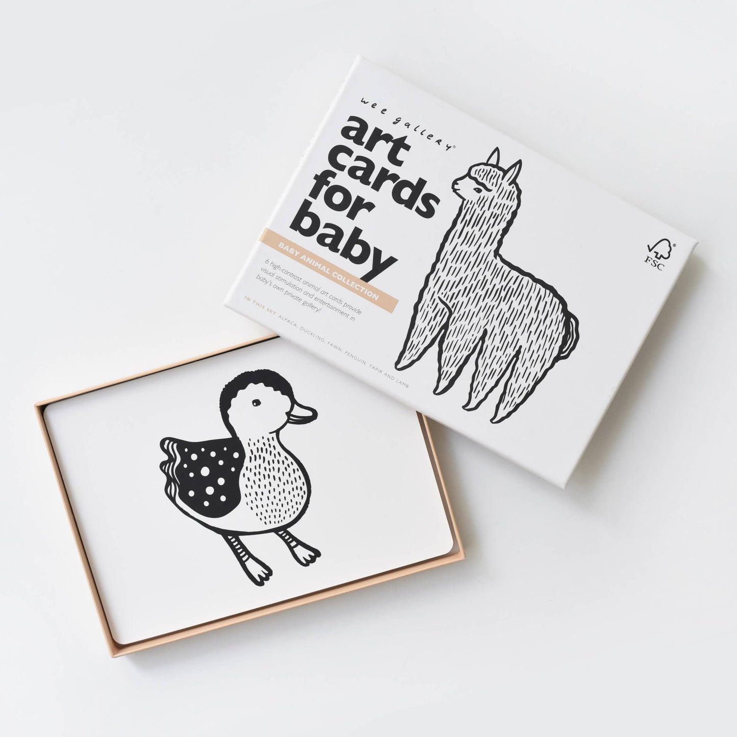 Cartes d'art pour bébé - Animaux bébés - Cartes flash pour nourrissons