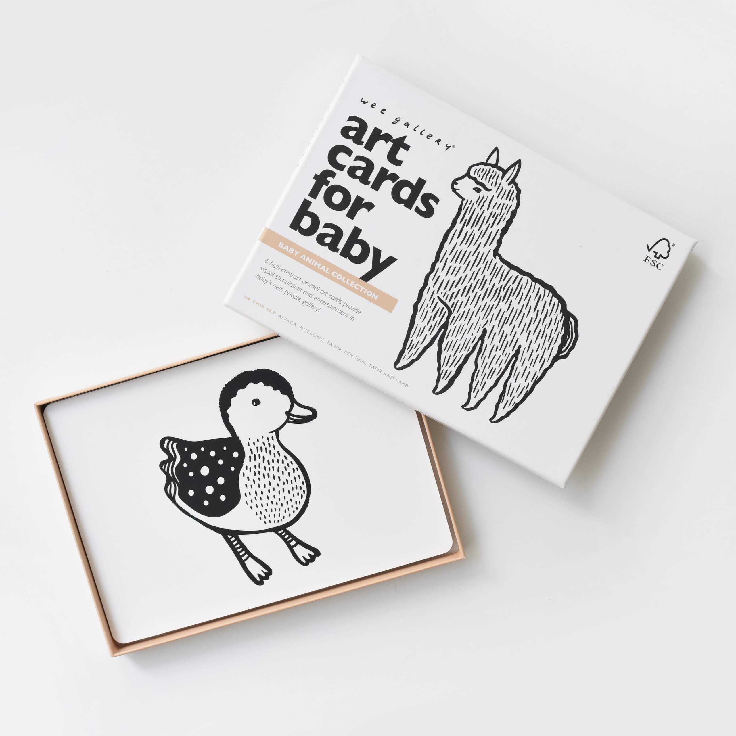 Cartes d'art pour bébé - Animaux bébés - Cartes flash pour nourrissons