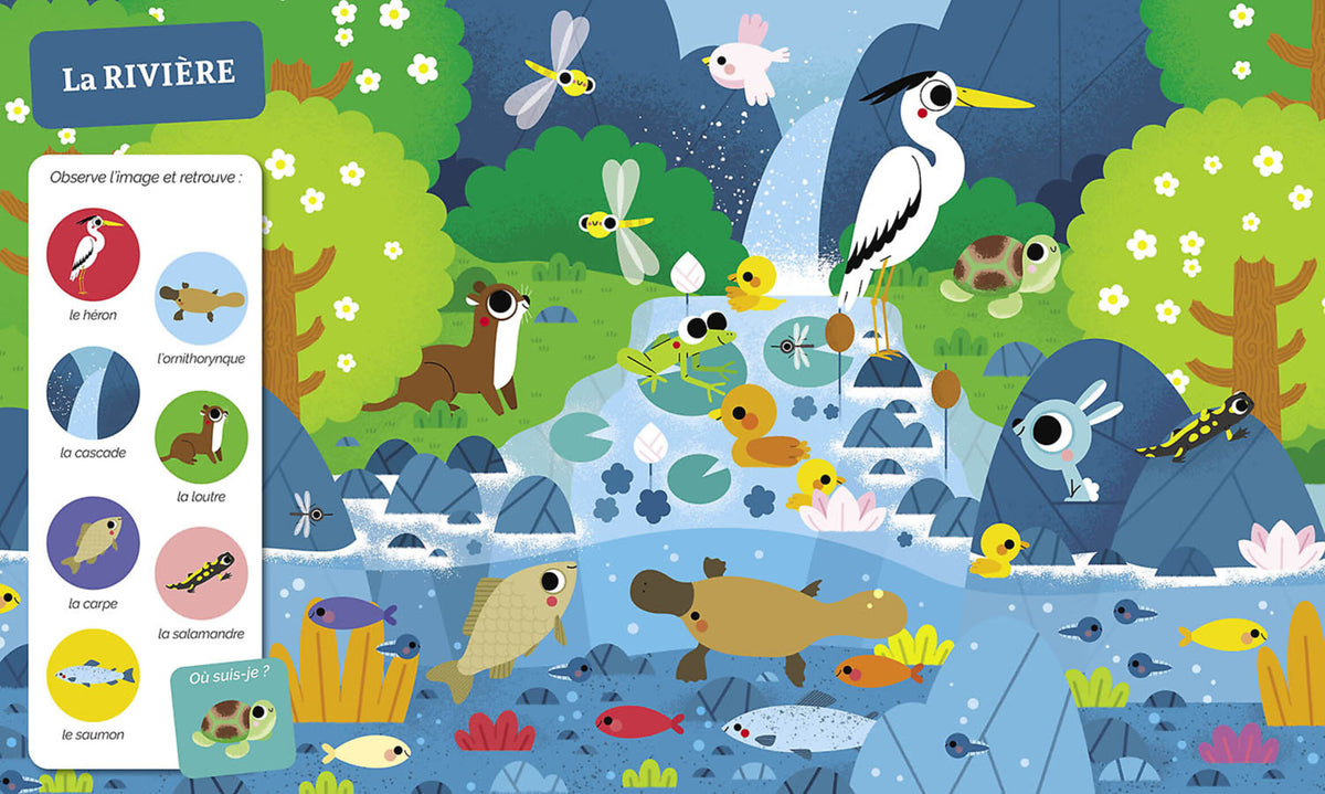 Cherche et trouve des tout-petits – Tous à l’eau !