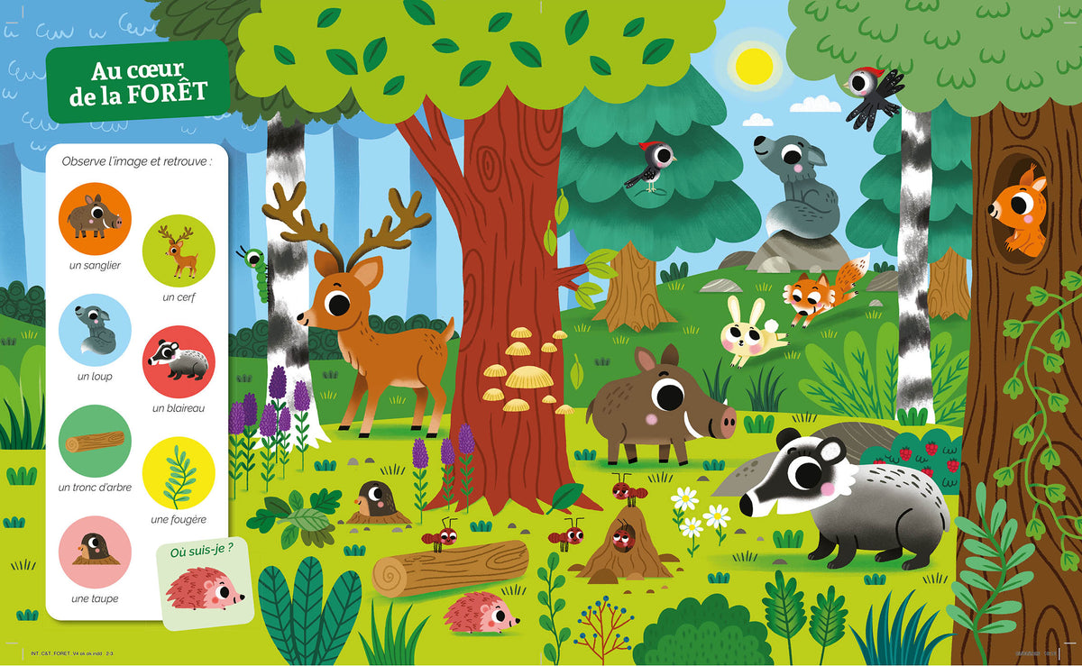 Cherche et trouve des tout-petits – Dans la forêt
