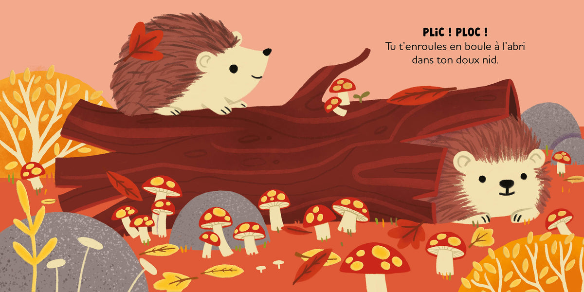 Histoires à câliner – Au cœur de la forêt