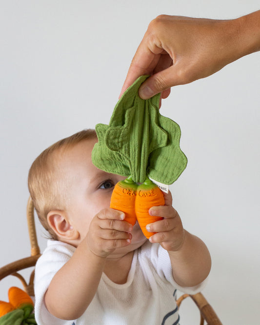 🥕 Cathy the Carrot – Mini Doudou-Teether