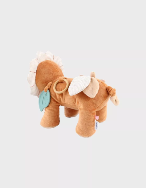 Lion d'activité