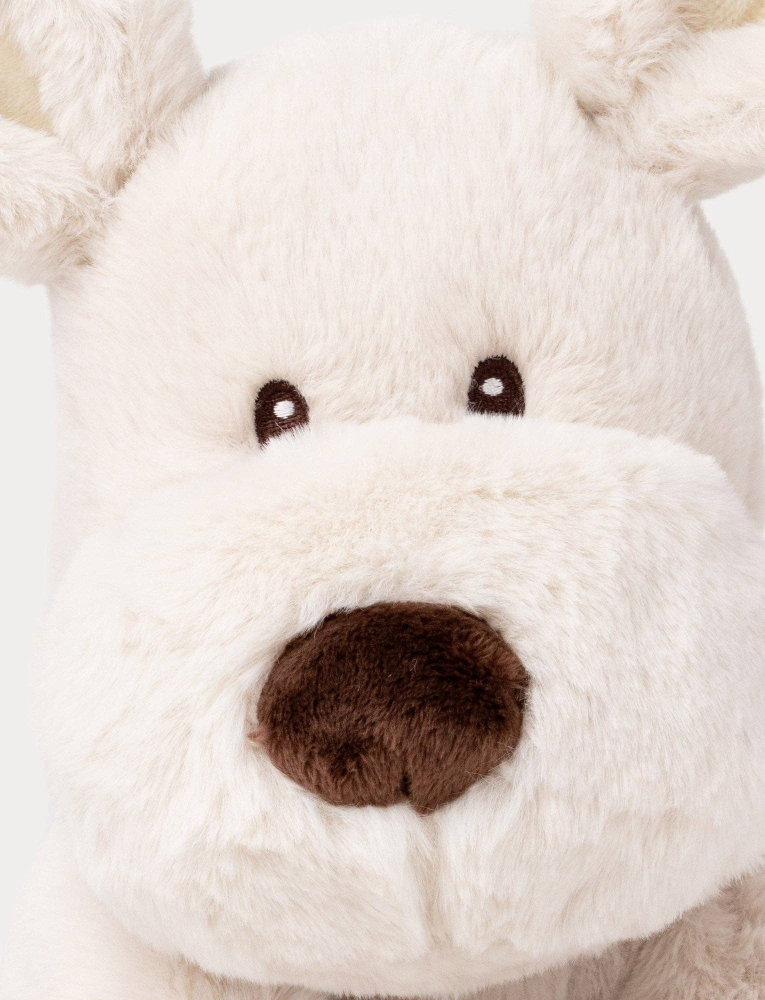 Teddy Mocca, Chien, Grand