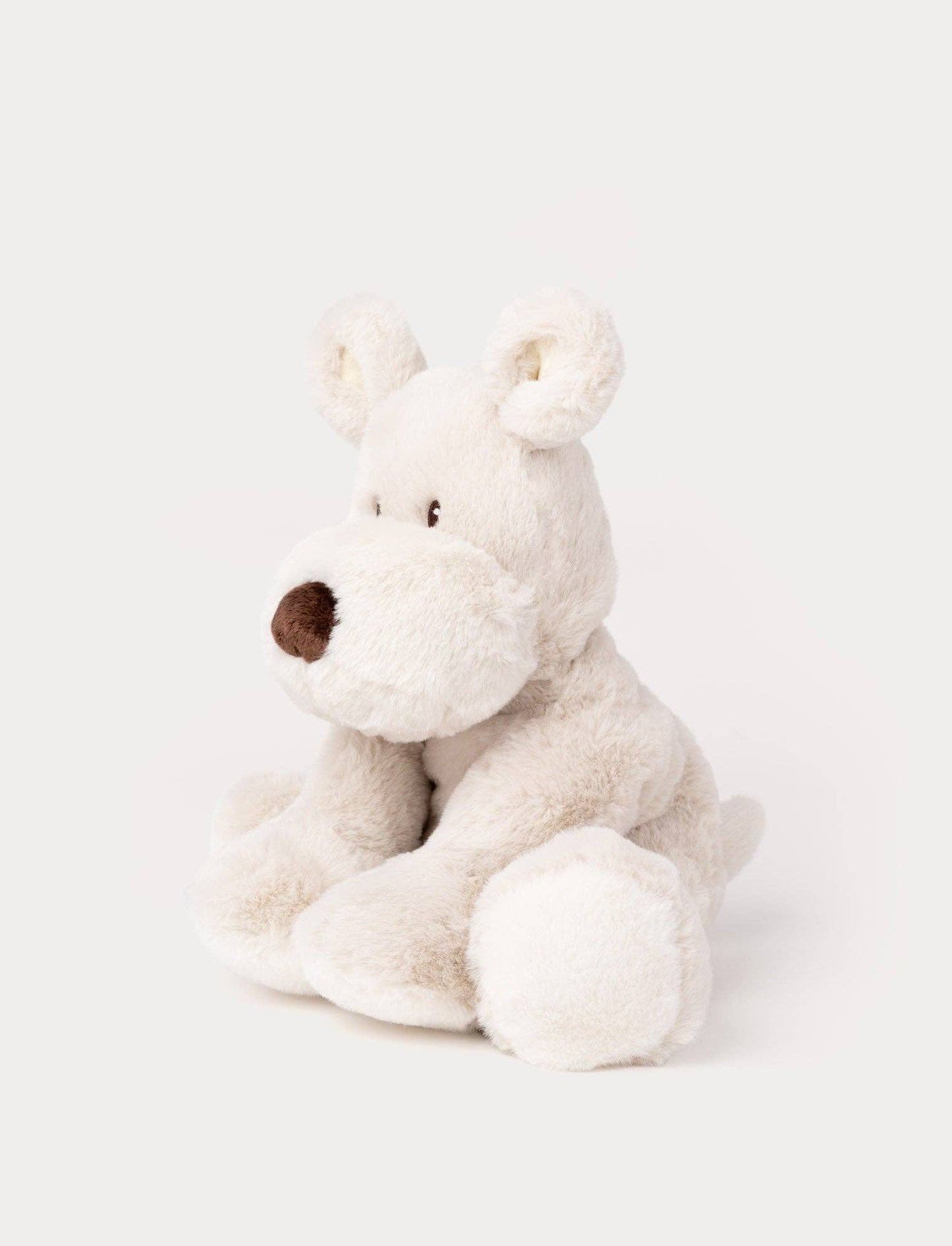 Teddy Mocca, Chien, Grand