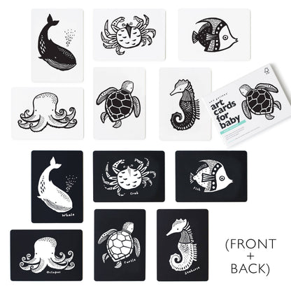 Cartes d'art pour bébé - Animaux marins - Cartes flash pour nourrissons