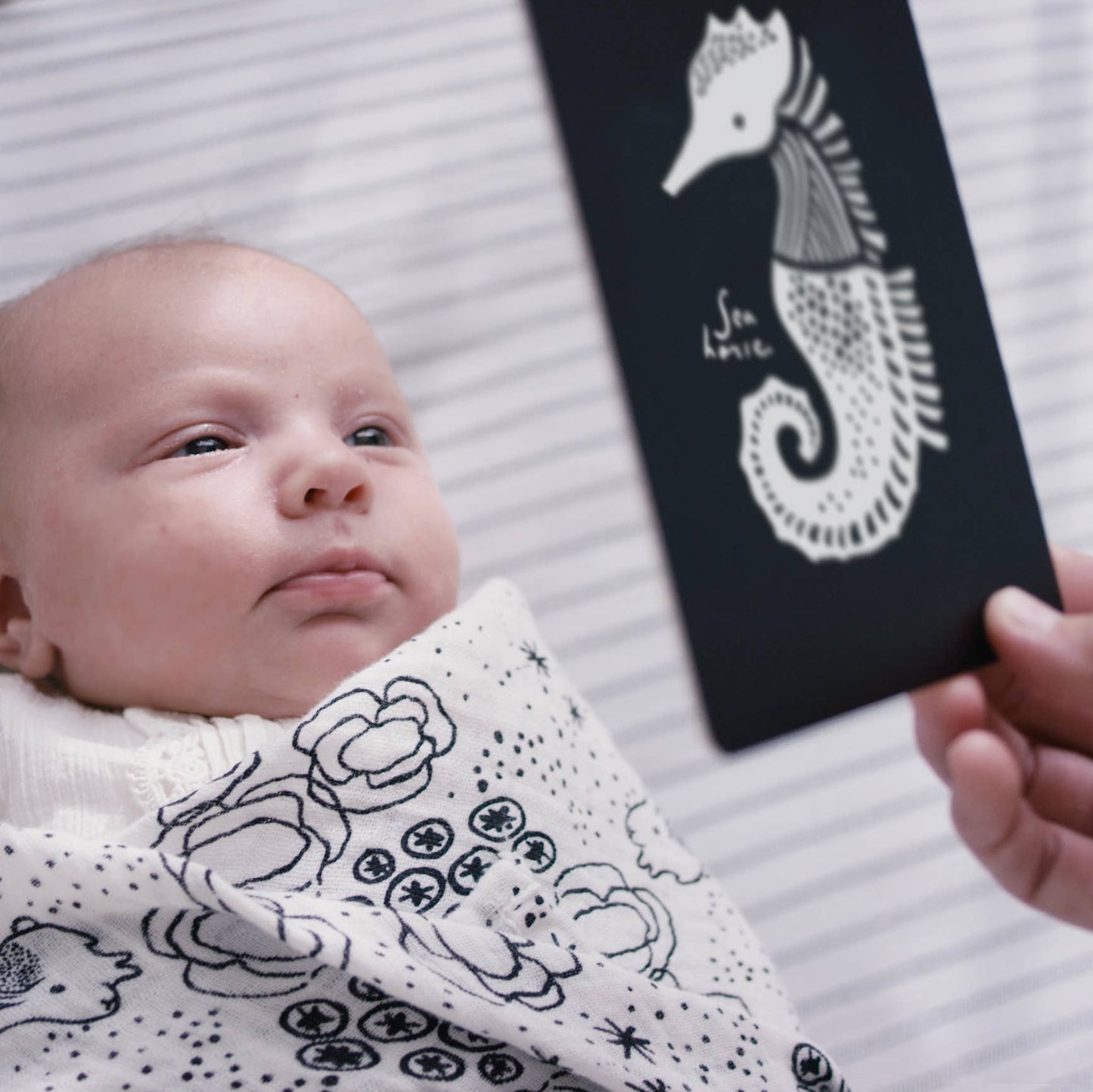 Cartes d'art pour bébé - Animaux marins - Cartes flash pour nourrissons