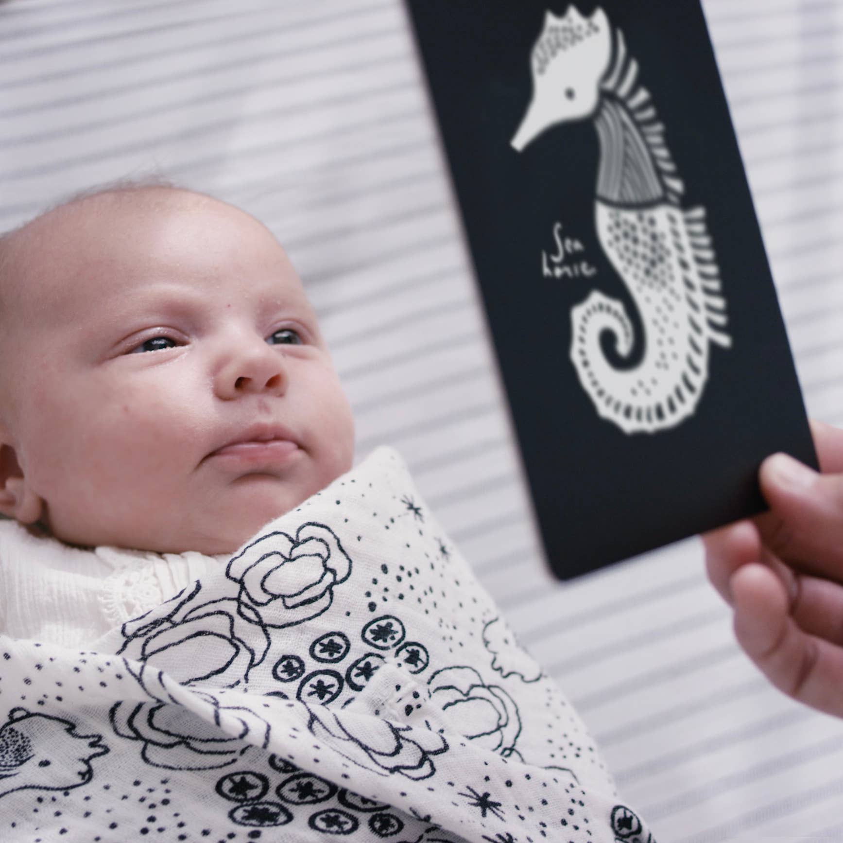 Cartes d'art pour bébé - Animaux marins - Cartes flash pour nourrissons