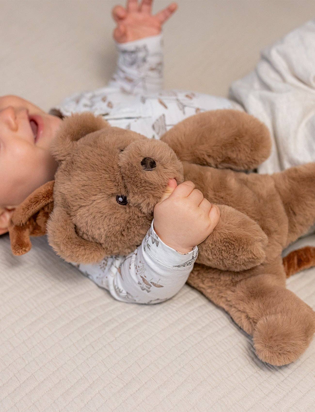 Ours en peluche Teddy, Boîte à musique, Marron