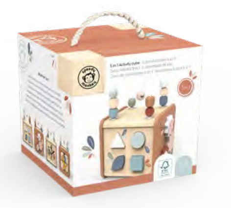 Cube d'activités 5en 1