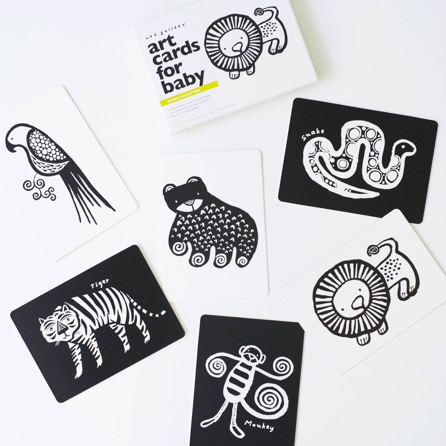 Cartes d'art pour bébé - Animaux de la jungle - Cartes flash pour nourrissons