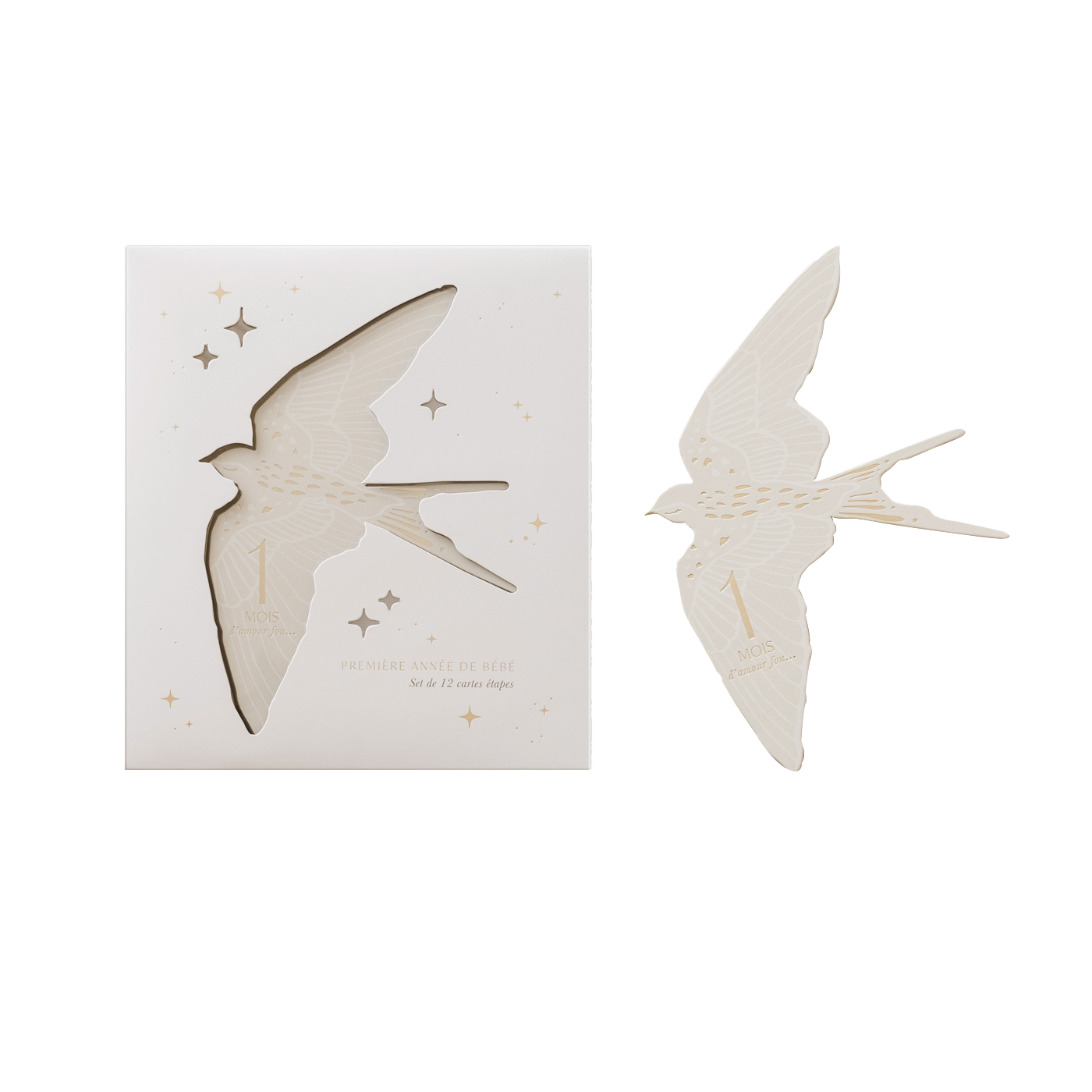 Coffret Cartes étapes Birds