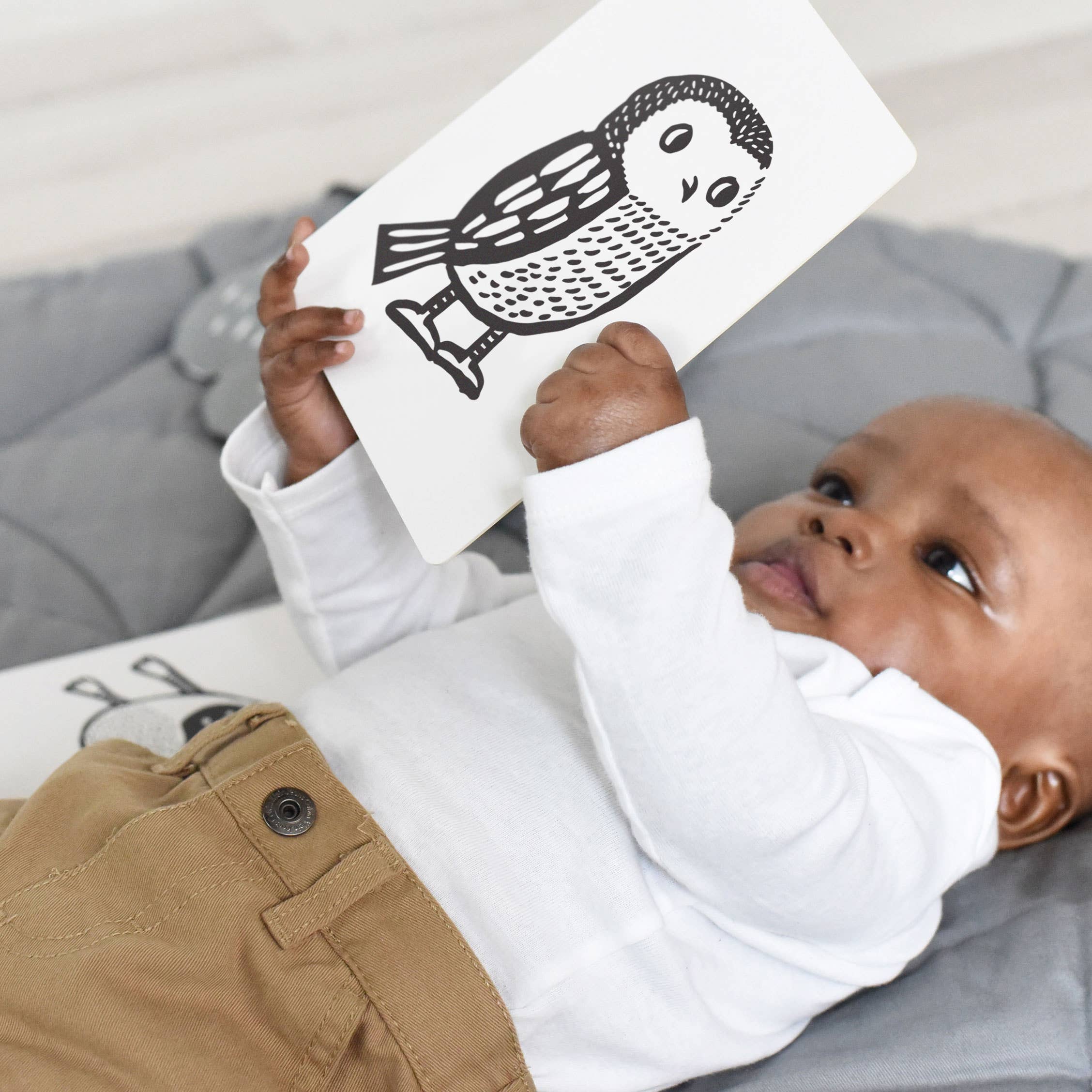 Cartes d'art pour bébé - Animaux de la forêt - Cartes flash pour nourrissons