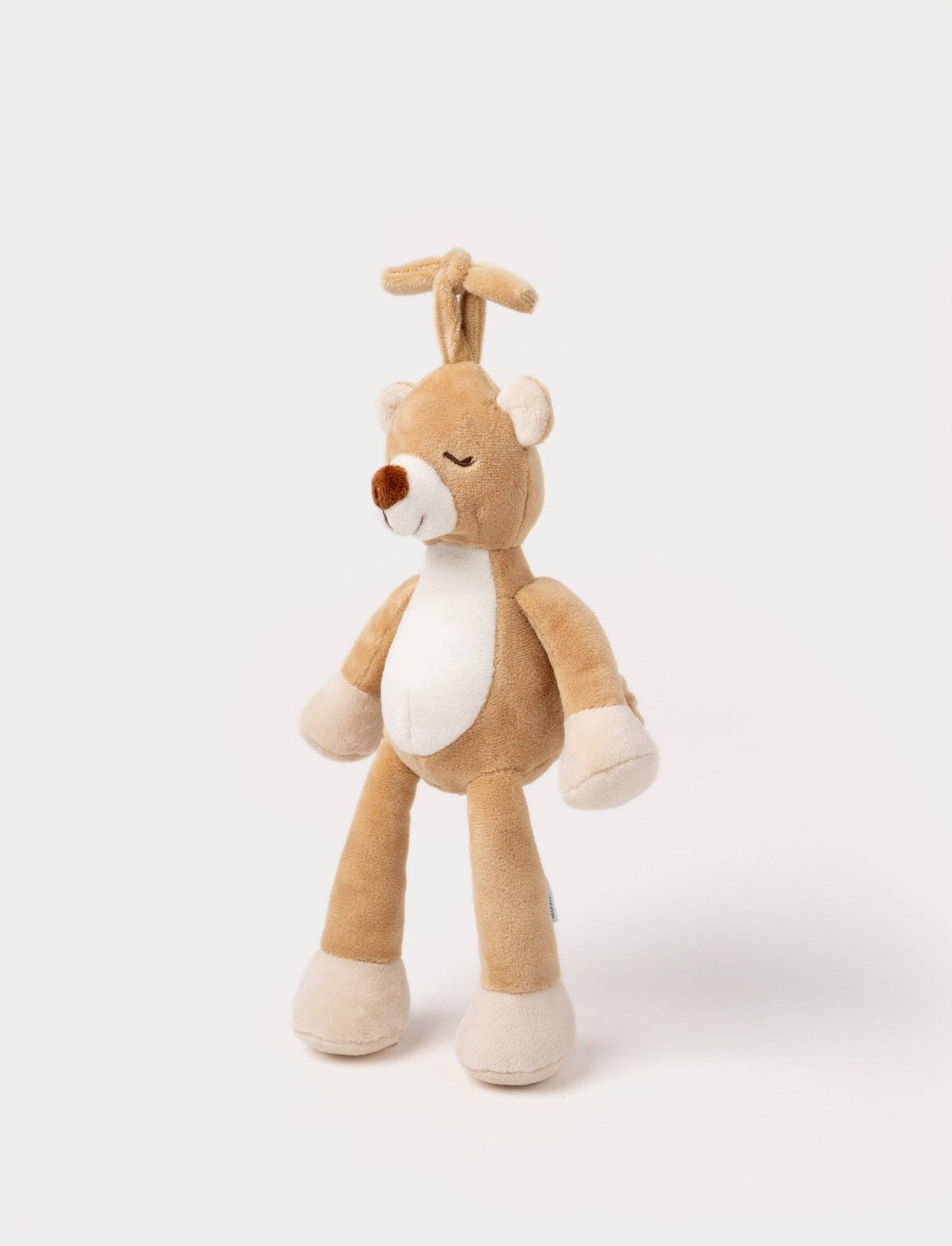 Ours en peluche, Diinglisar, Boîte à musique