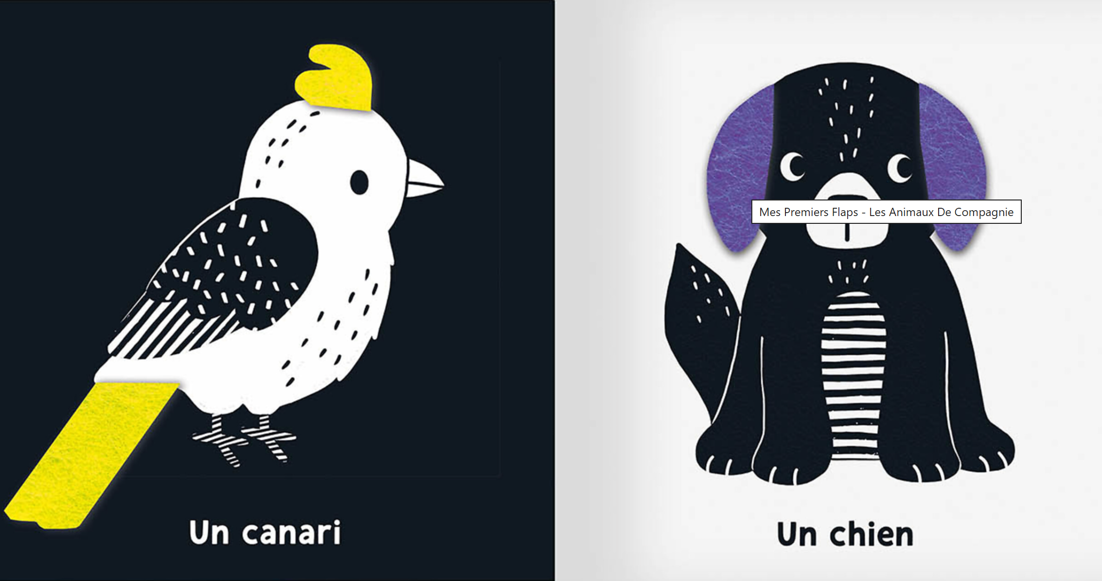 Les animaux de compagnie